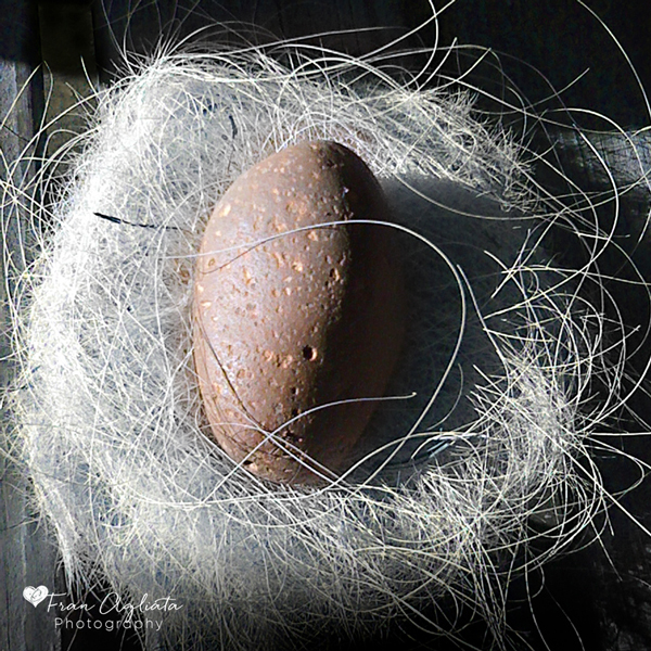 IMG_1186_BabyGirlsNest_600x600