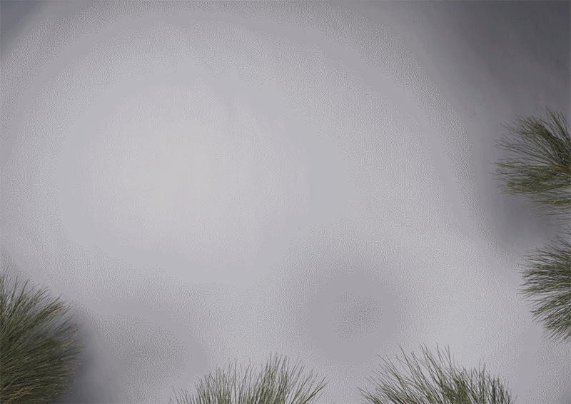 OGIO_TakeYourGameOnTheRoad_Coastal_800pxW