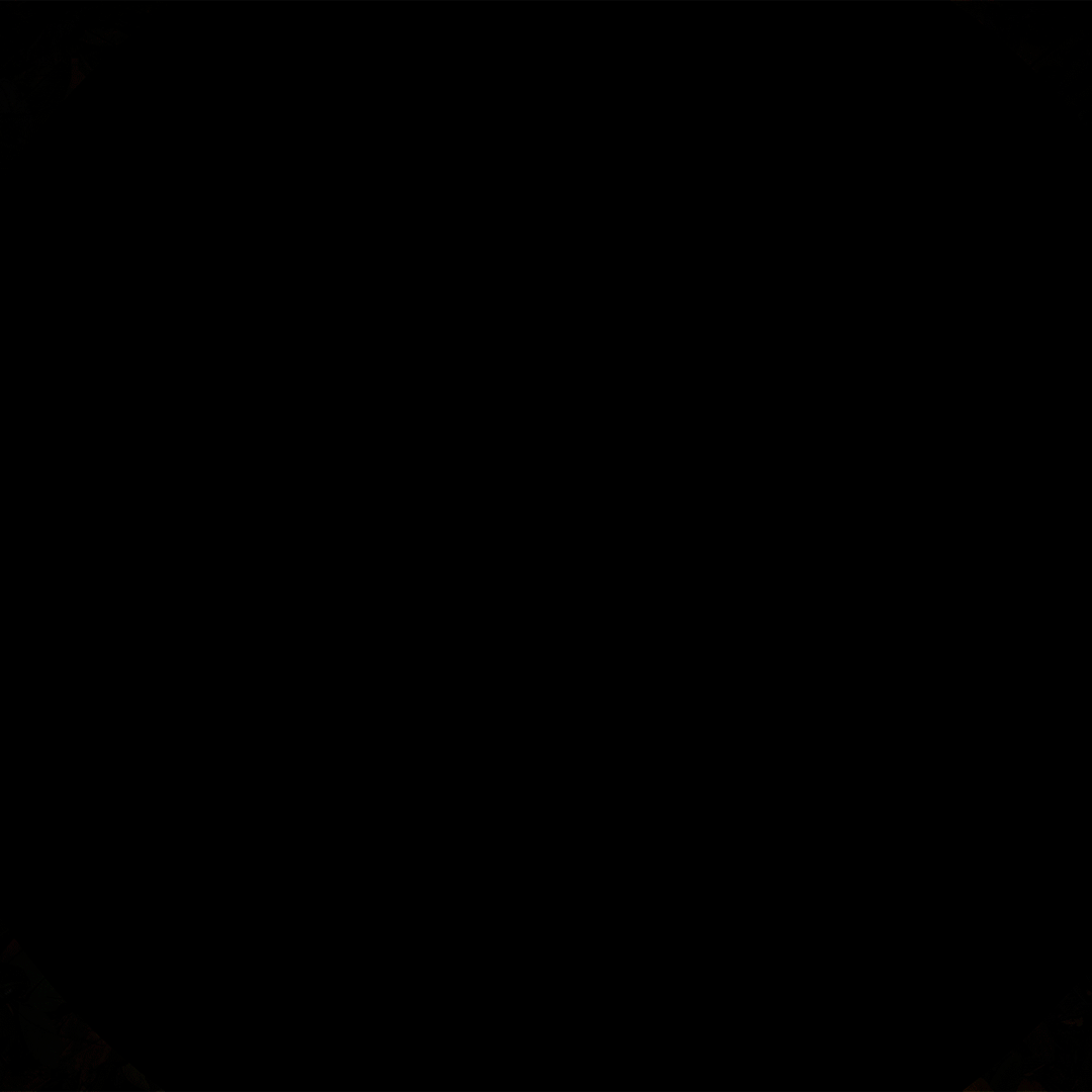 o2_Camo_Flashlight_Composite_1080